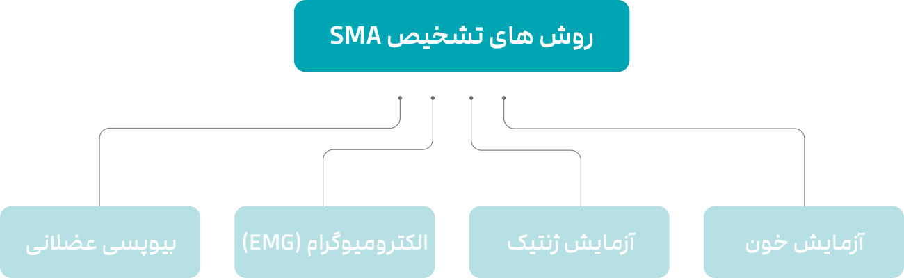 روش‌های تشخیص SMA